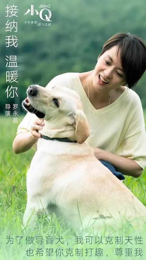 德蒙福特大学艺术文凭证书